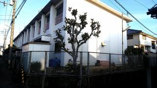 松山保育園