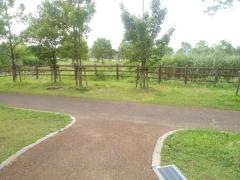 中川公園