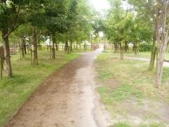 中川公園
