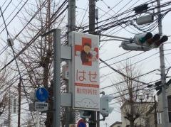 はせ動物病院