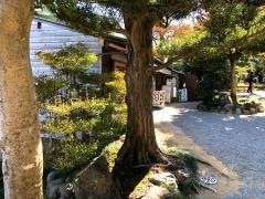 ことぶき