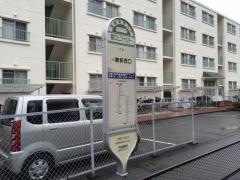 「南町コミュニティセンター」バス停留所