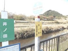 「井ノ田」バス停留所