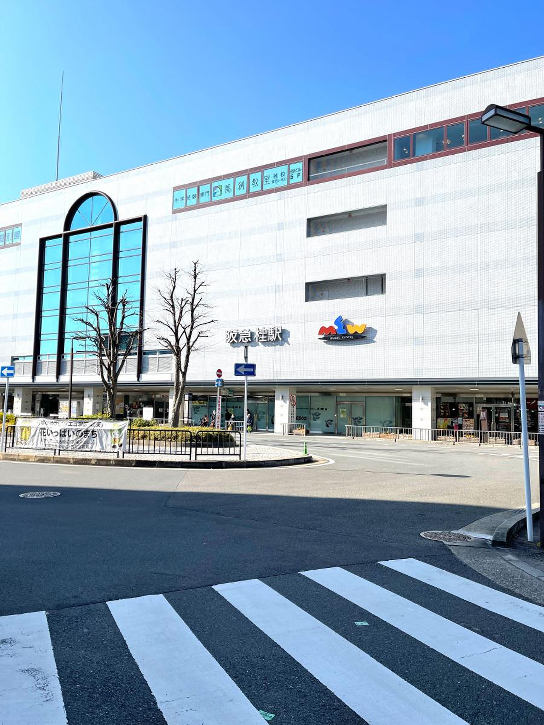 桂 駅