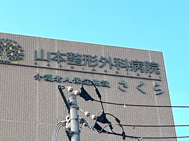さくら 看板