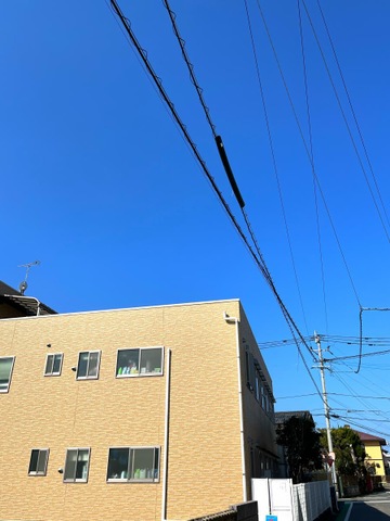 しんぐう
