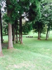 上磯ダム公園