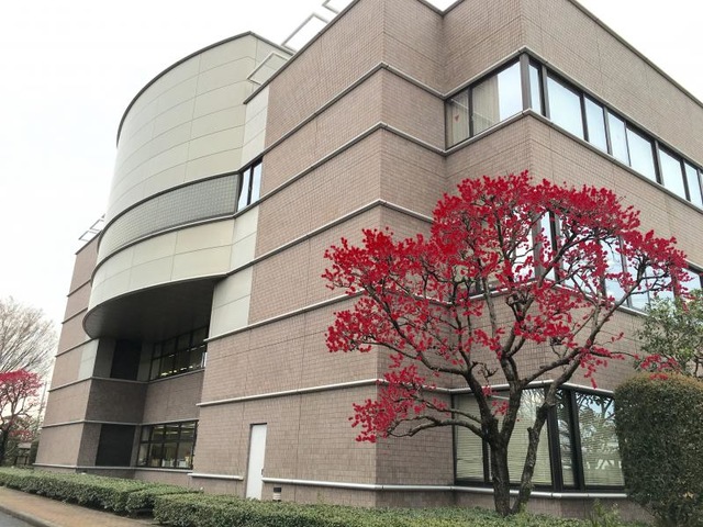 施設写真37