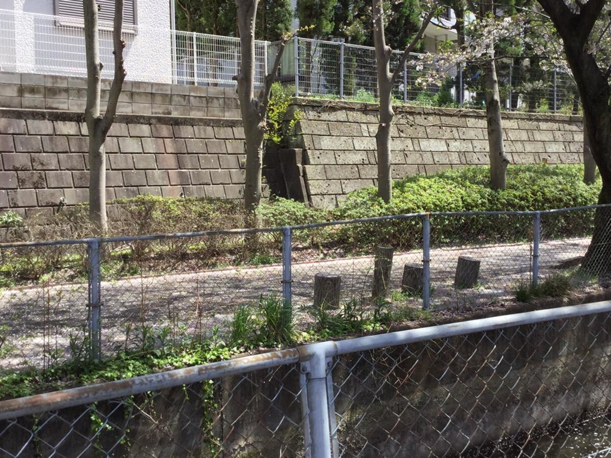 ふれあい歩道です