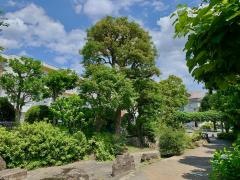 和田堀緑地