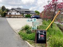光の穂