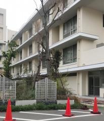 安岡病院