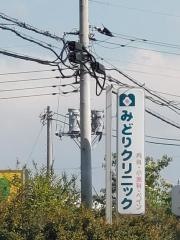 みどりクリニック