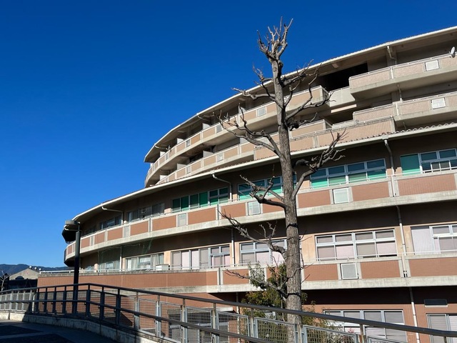 悠悠タウン江波