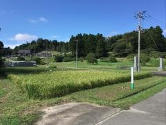 道安寺