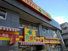 どらっぐぱぱす西馬込店