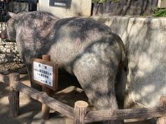城山幼稚園