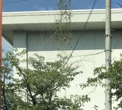 八幡小学校
