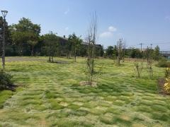 社領1号緑地