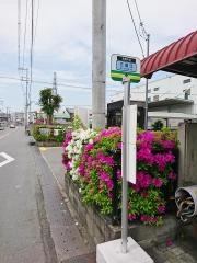 「三島江」バス停留所