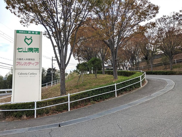 アルカディア