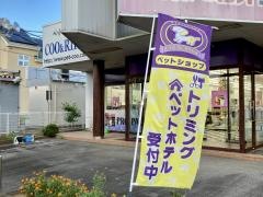 ペットショップＣｏｏ&ＲＩＫＵ　Ｃｏｏの家　牛久店