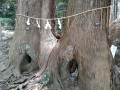 日吉神社