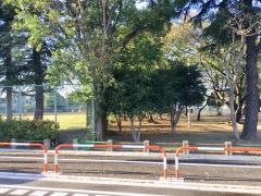 新田公園