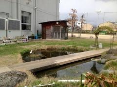 南大内小学校