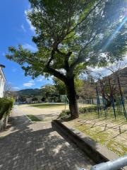 河内小学校