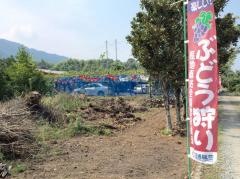 堤果樹園