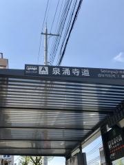 「泉涌寺道」バス停留所