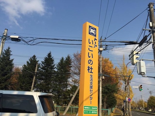 もみの木