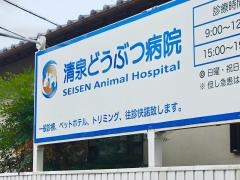 清泉どうぶつ病院