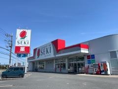 ドラッグストアセキ平塚店