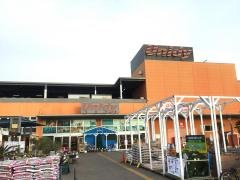 ユニディ湘南平塚店