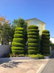 六ツ美西部小学校