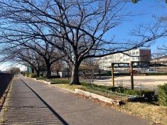 六田公園