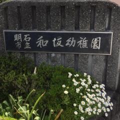 和坂幼稚園