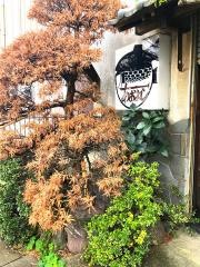 青芳