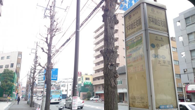 バス停