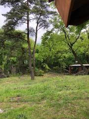 火の山温泉どんどこ湯