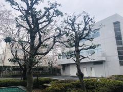 冨士ダイス株式会社
