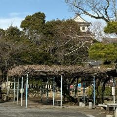 中津城公園