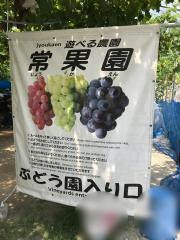 常果園