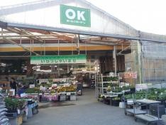 ＯＫホーム＆ガーデン戸町店