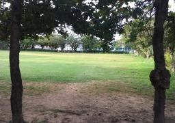 中央公園