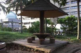 中央公園