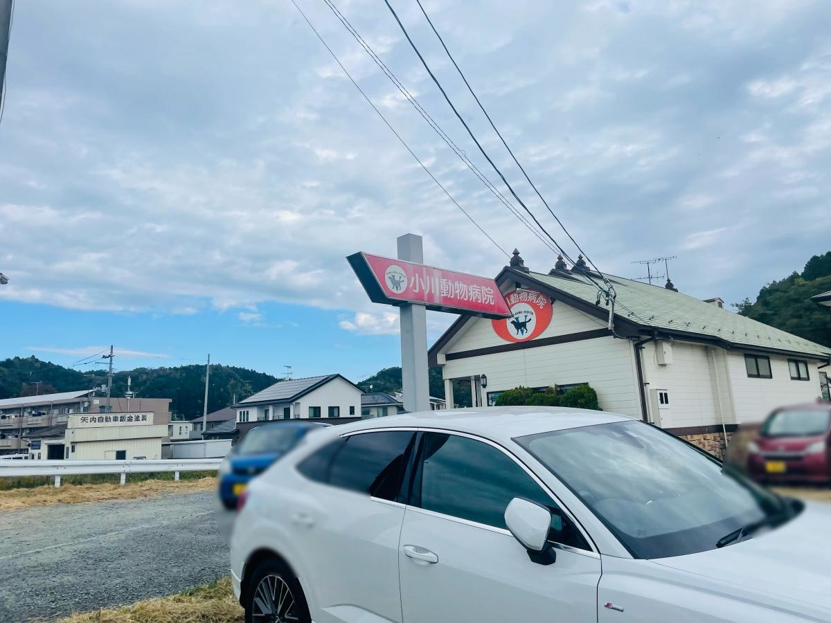 小川動物病院