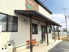 くりの木本店